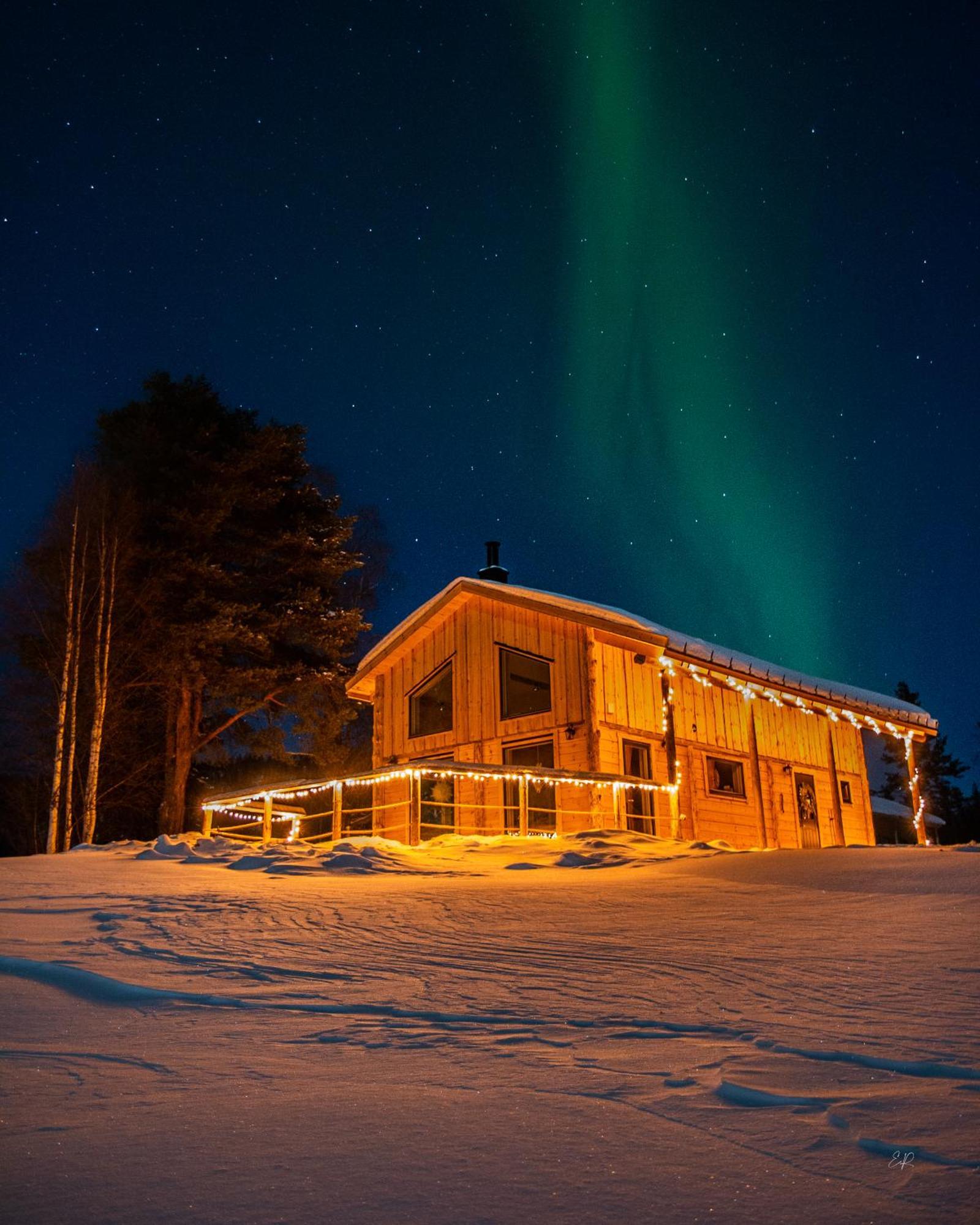 Blueberry Lodge 5 Personnes Mjolan Dış mekan fotoğraf