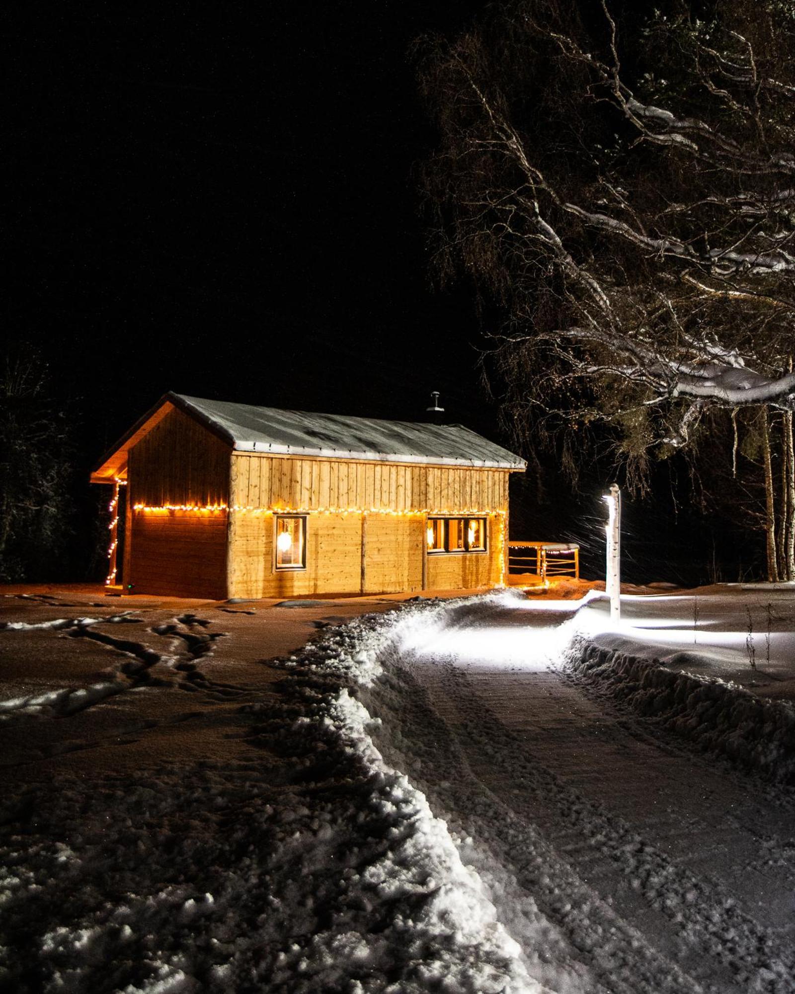 Blueberry Lodge 5 Personnes Mjolan Dış mekan fotoğraf