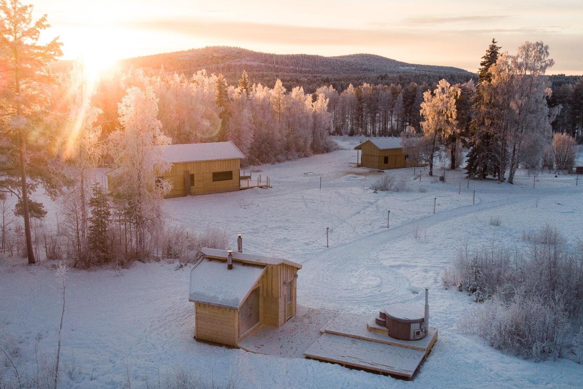 Blueberry Lodge 5 Personnes Mjolan Dış mekan fotoğraf