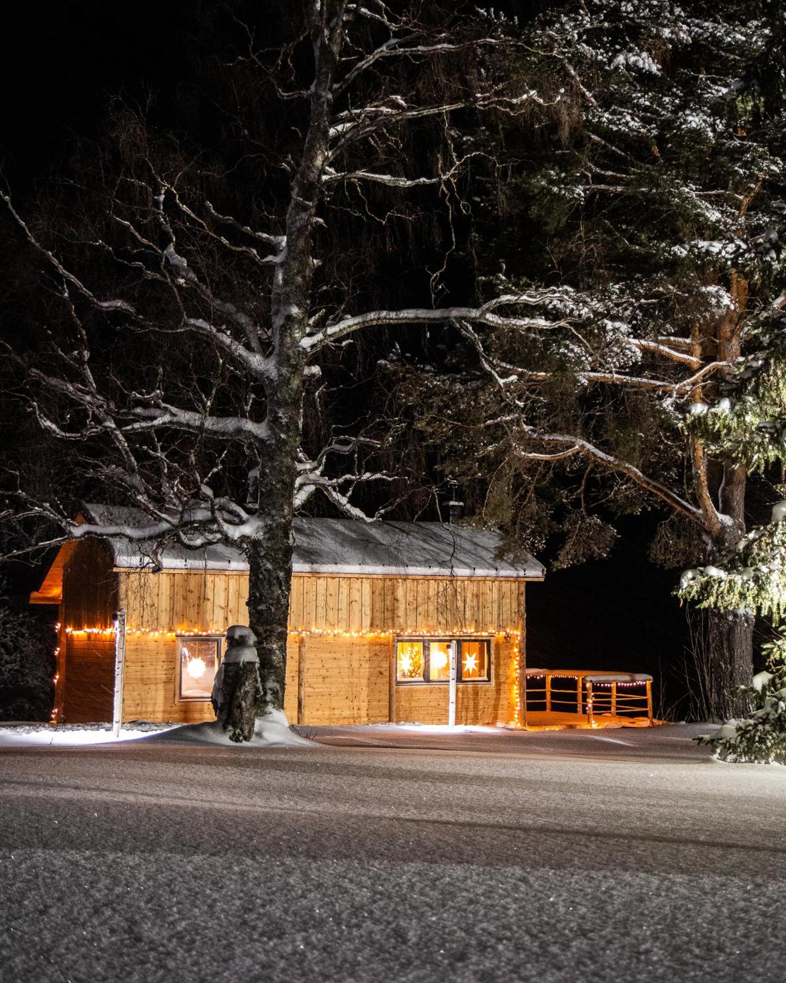Blueberry Lodge 5 Personnes Mjolan Dış mekan fotoğraf