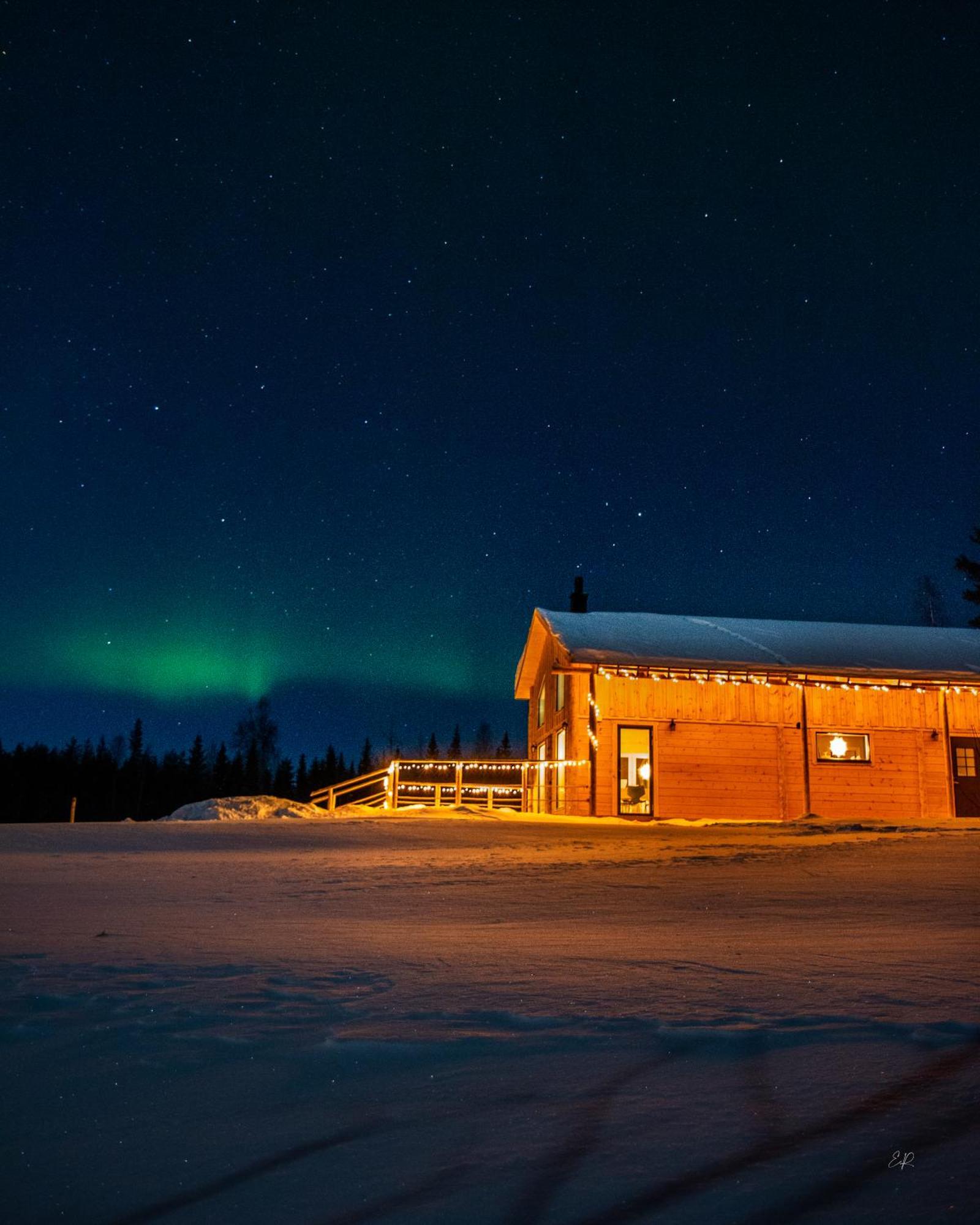 Blueberry Lodge 5 Personnes Mjolan Dış mekan fotoğraf