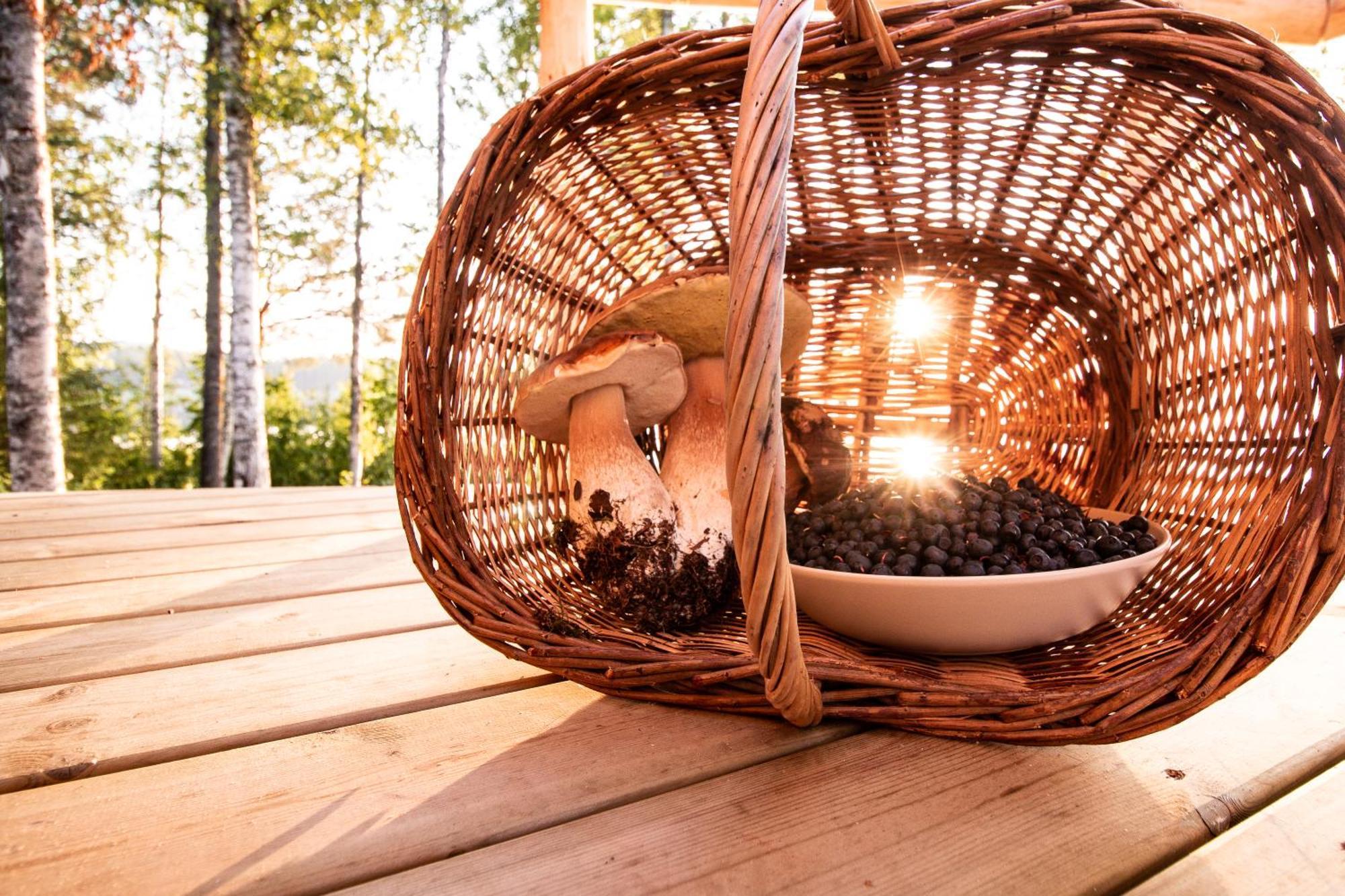 Blueberry Lodge 5 Personnes Mjolan Dış mekan fotoğraf
